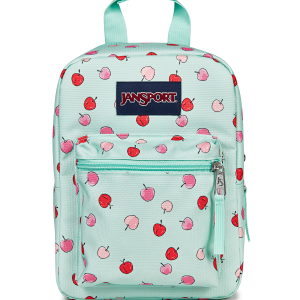 Big Break Lunch Bag - Apple Orchard Magic Mint